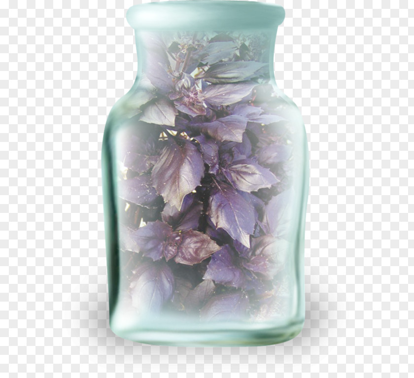 HTML Lilac Vase Clip Art PNG