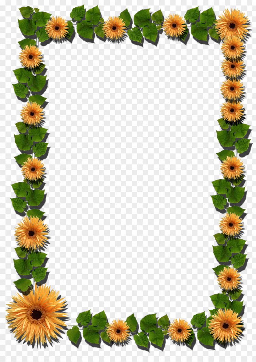 Mimosa Picture Frames Photography Flower PNG