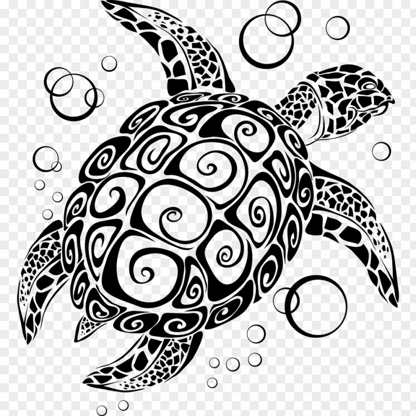 Watercolour Animals Abziehtattoo Turtle Polynesia Amazon.com PNG