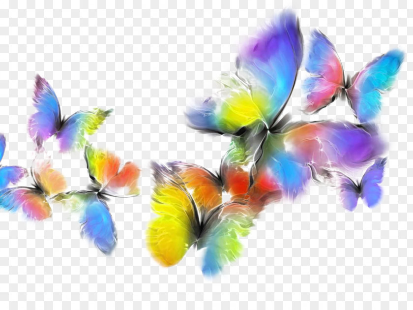 Colorful Butterfly Awaken Chrysalis Room Butterflies And Moths Painting Child PNG