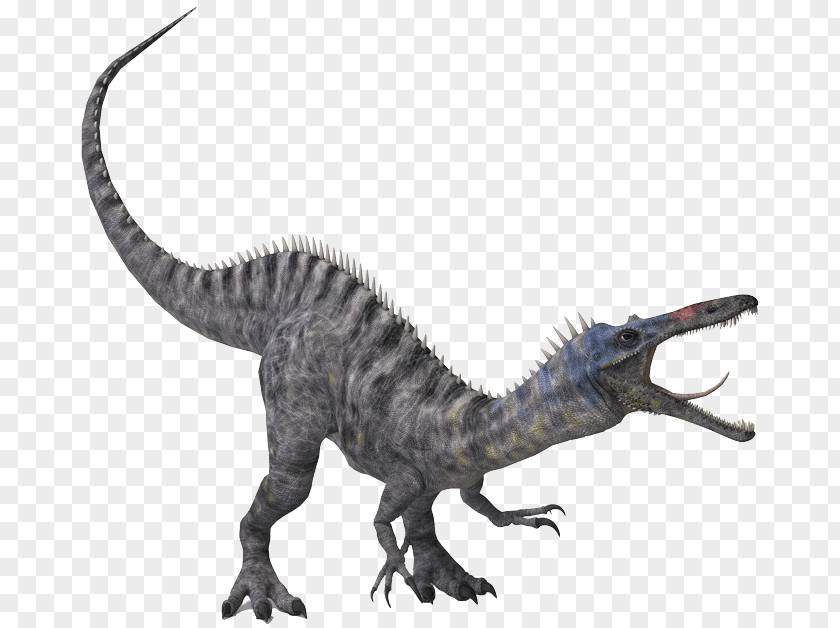 Dinosaur Baryonyx Velociraptor Tyrannosaurus Stygimoloch Triceratops PNG