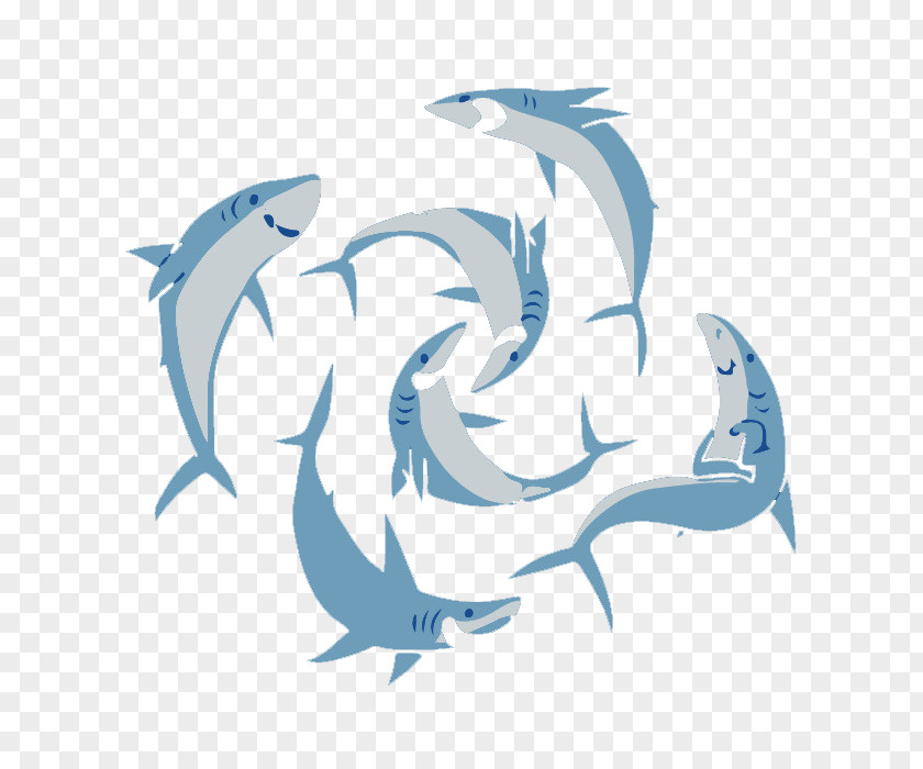 Dolphin Download Clip Art PNG