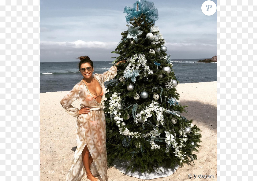 Eva Longoria Christmas Tree And Holiday Season Gift PNG