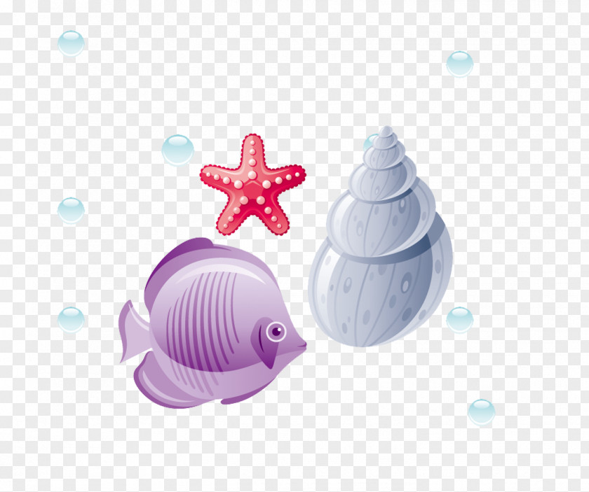 Fish Conch Starfish Euclidean Vector Computer File PNG