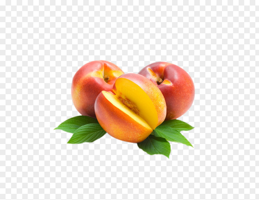 Flower Flowering Plant Peach PNG