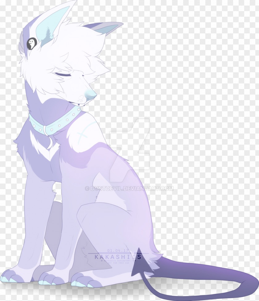 Kitten Whiskers Cat Dog PNG