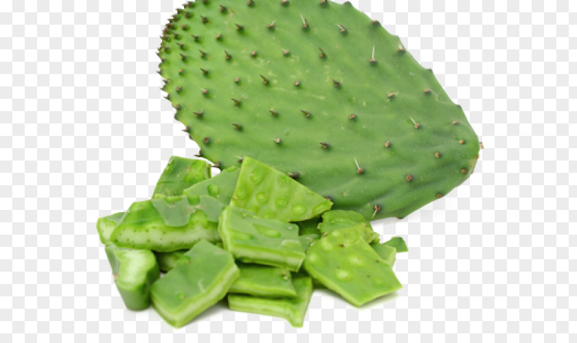 Nopal Pear Nopalito Mexican Cuisine Food Barbary Fig PNG