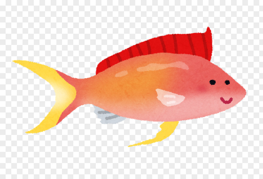 Prp いらすとや Fish Orange Animal PNG
