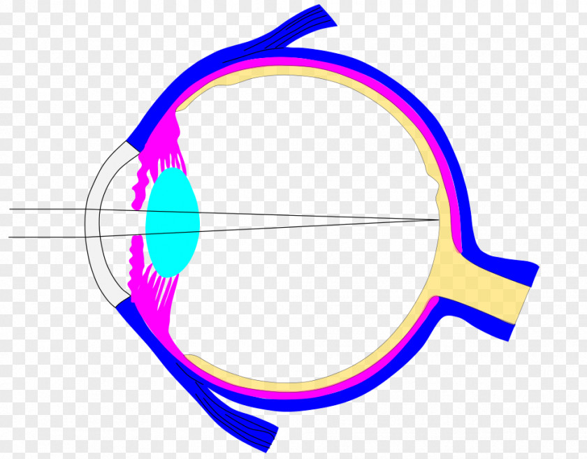 Ray Lens Human Eye Iris PNG