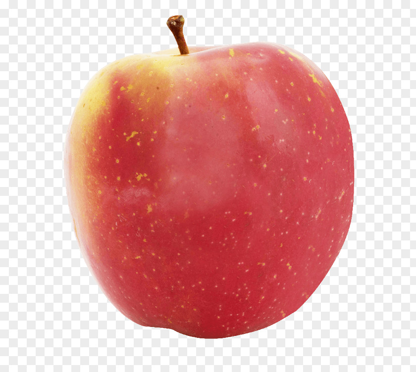 Russet Apple McIntosh Red Accessory Fruit Food PNG