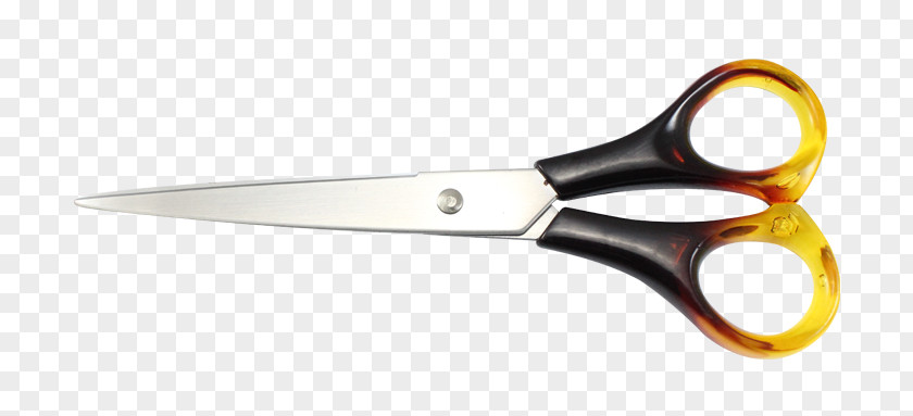 Tailor Scissors Hair-cutting Shears Blade PNG