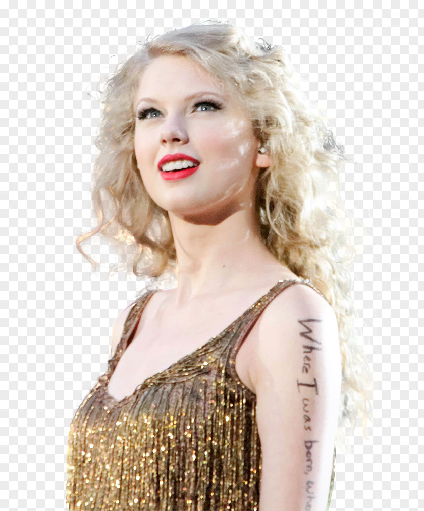 Taylor Swift Swift's Reputation Stadium Tour Speak Now World The Red 1989 PNG