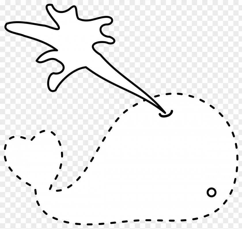 Whale Color Line Art White Clip PNG