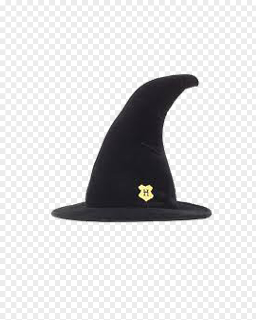 Black Witch Hat Boszorkxe1ny Cap Hogwarts PNG