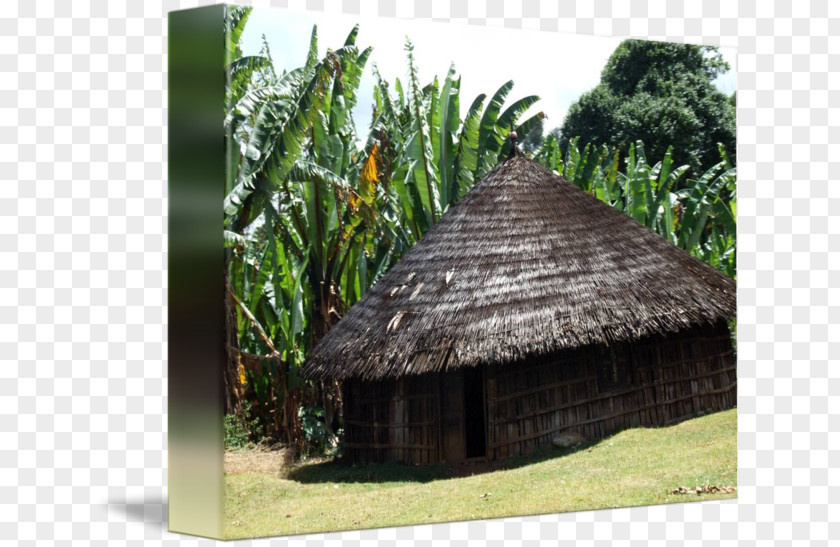 Hut Drawing Archaeological Site Roof Crannog Archaeology Shed PNG