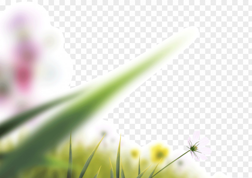 Lens Blur Blurred Leaves Blooming Flowers Camera Icon PNG
