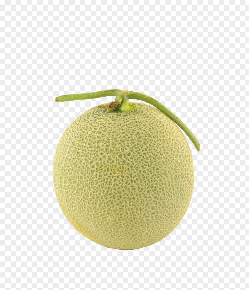 Melon Hami Honeydew Cantaloupe PNG