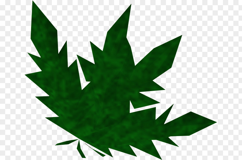 Weed Old School RuneScape Wikia Herb PNG