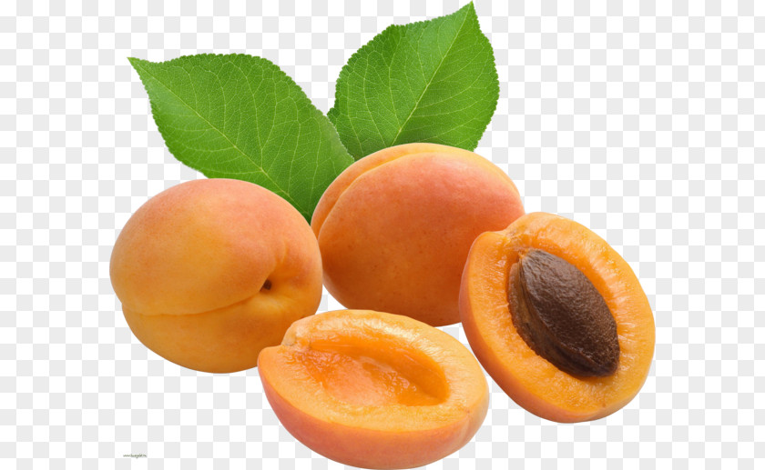 Apricot Gelatin Dessert Prunus Mandshurica Vaisiaus Kauliukas PNG
