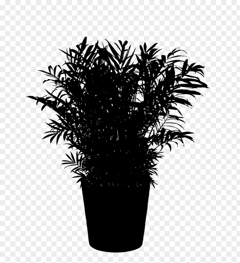 M Flowerpot Houseplant Palm Trees Black & White PNG
