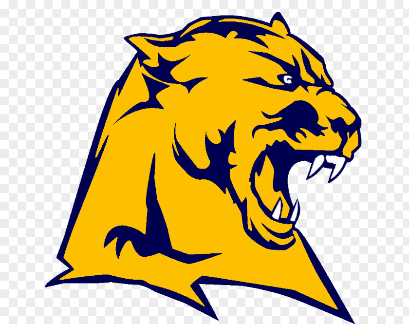 Whitmer High School National Secondary Sport Carolina Panthers PNG