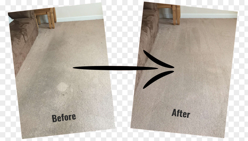 Carpet Cleaning Living Room Upholstery PNG