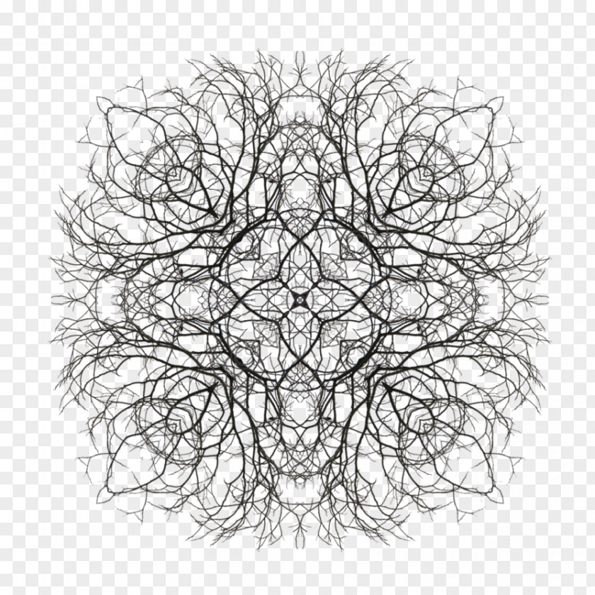 Fractal Geometry Art DeviantArt Tree Index Symmetry PNG