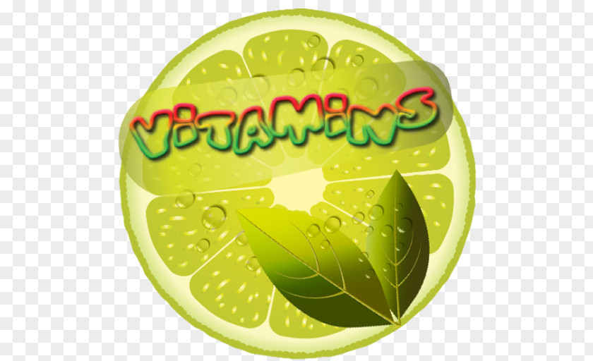 Lime Key Lemon-lime Drink Logo PNG