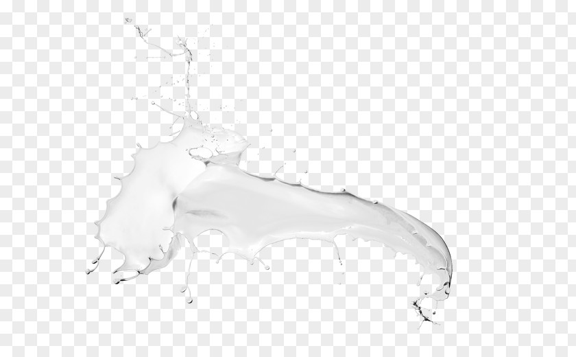 Milk Splash Soy Rice PNG