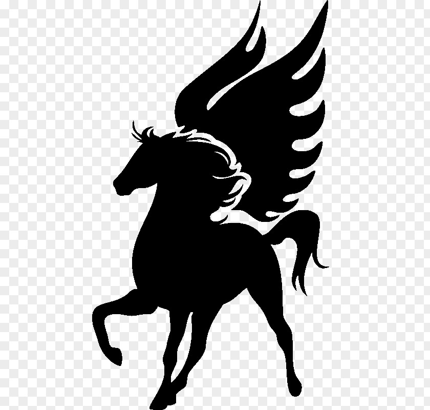 Mustang Stallion Thoroughbred Black PNG