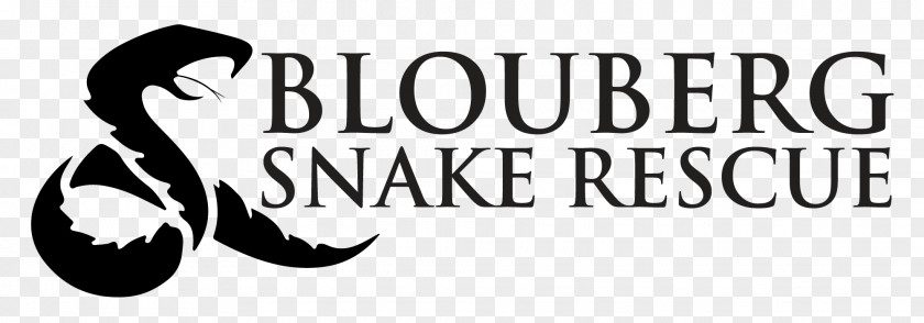 Nivea Snakes Mammal Logo Font Brand PNG