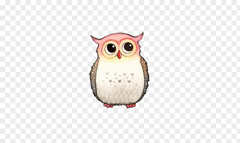 Painted Stay Meng Owl A Wise Old Quotation Saying PNG