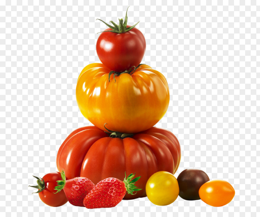 Tomato Planter Ideas Plum Savéol Bush Plougastel-Daoulas PNG