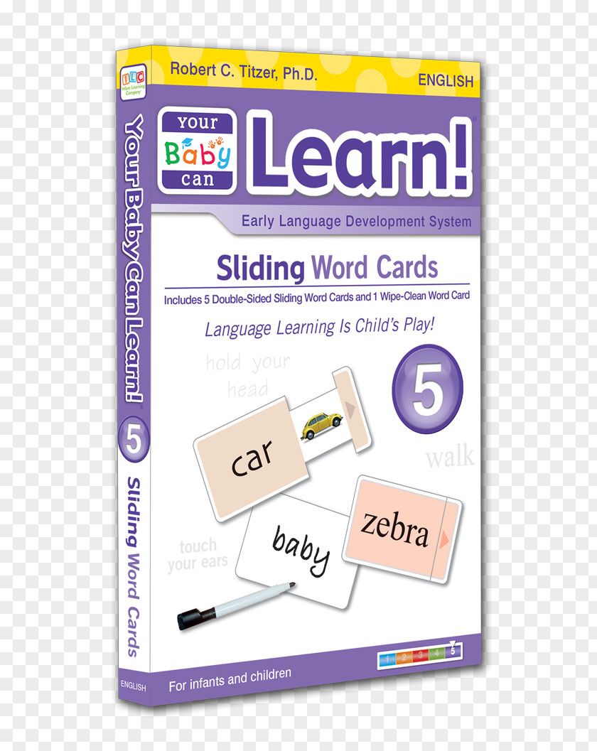 Word Infant Meaning Child Learning PNG
