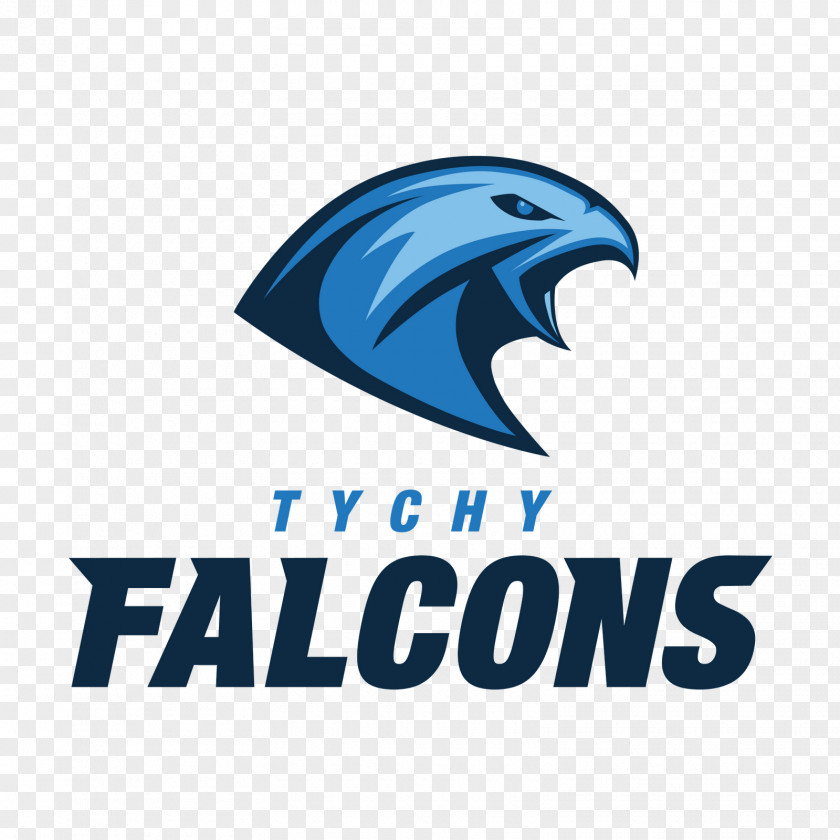 Atlanta Falcons Tychy Panthers Wrocław American Football PNG