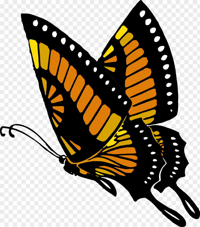 Butterfly Drawing Book Clip Art PNG