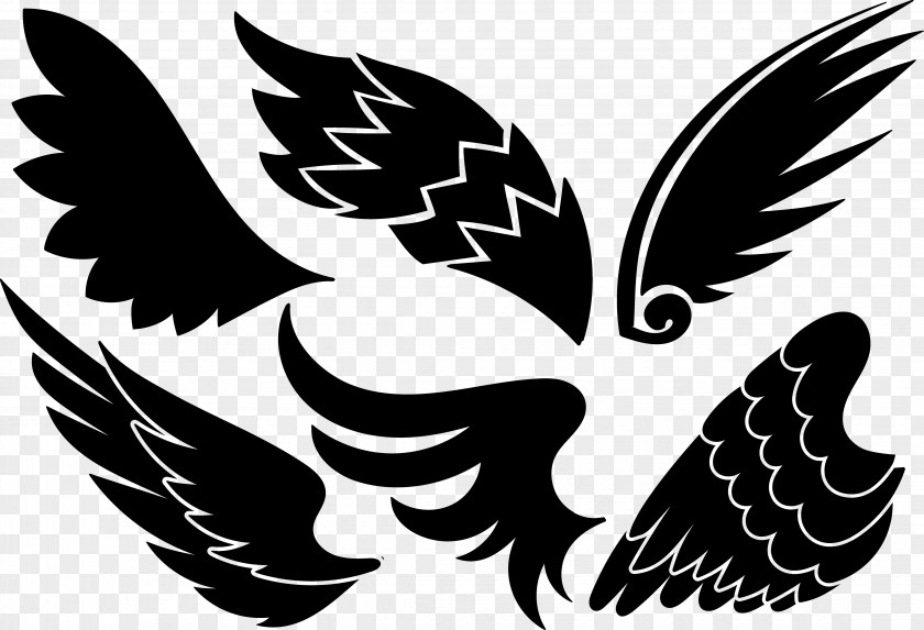 Creative Wings Euclidean Vector Angel Aile PNG