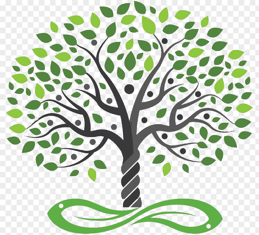 Multicolor Royalty-free Drawing Tree PNG