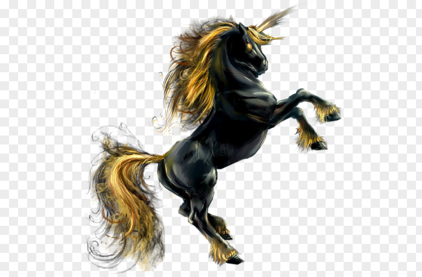 Mustang Stallion Rearing Pony PNG