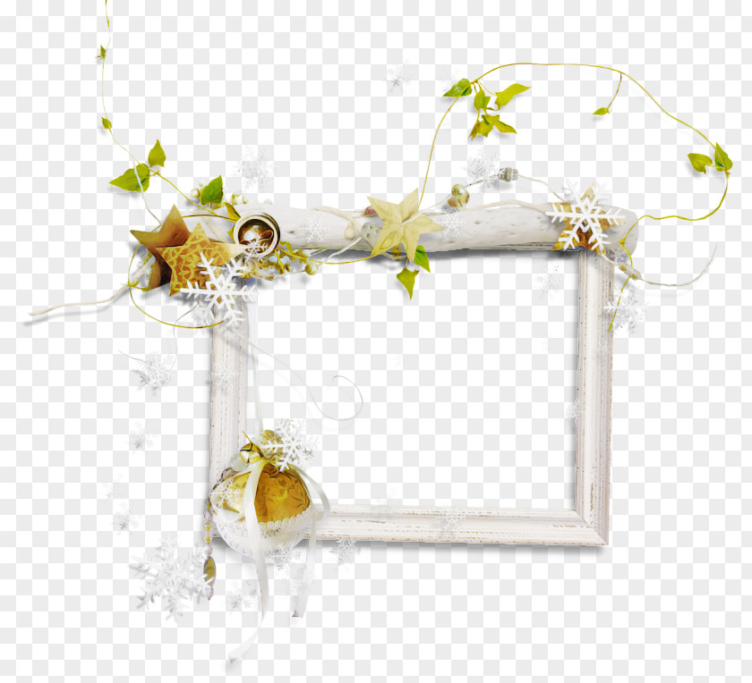 Plant Flower Twig PNG