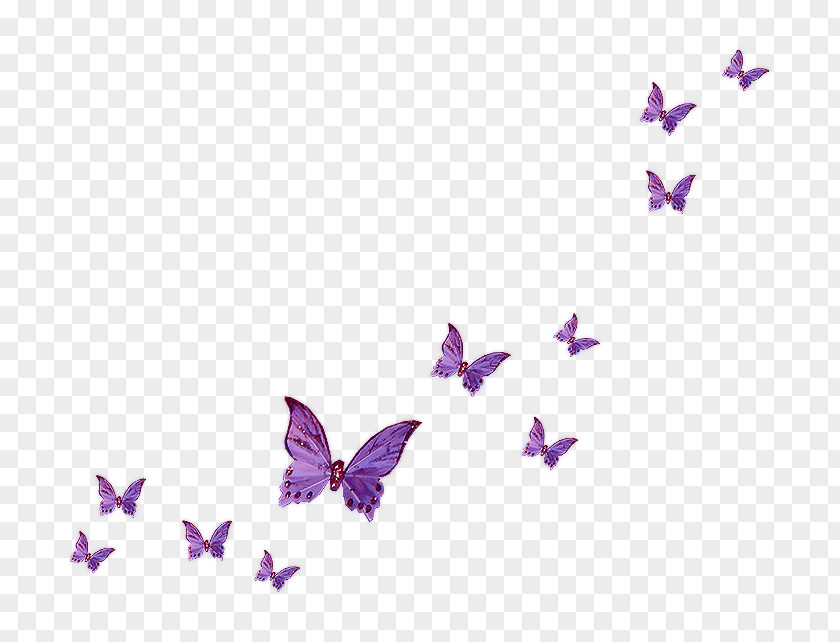Butterfly Fly Clip Art PNG