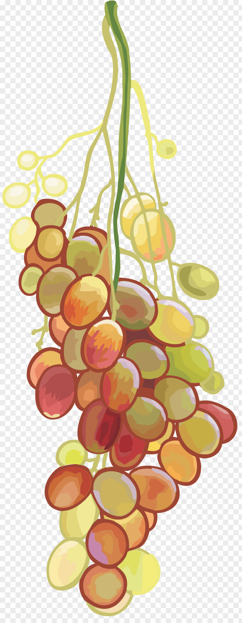 Grapes Wine Fruit Clip Art PNG