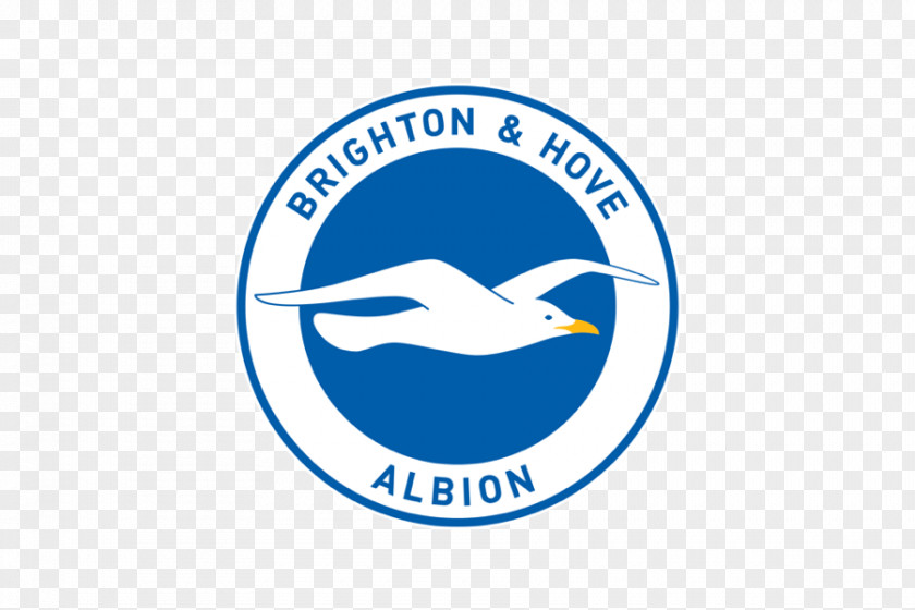 Logo Brighton & Hove Albion F.C. Brand Organization PNG