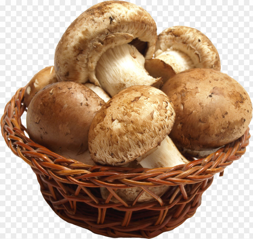 Mushroom Edible Shiitake Morchella Food PNG