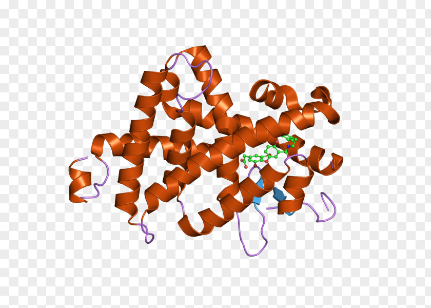 Thyroid Hormone Receptor Beta Nuclear Ligand PNG