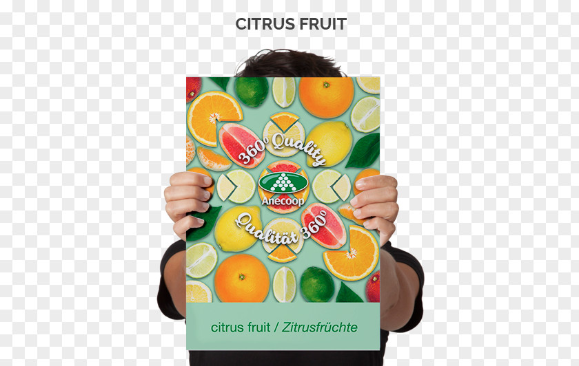 Citrus Fruits Poster Paper Advertising Printing PNG
