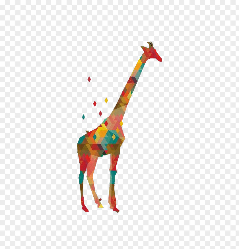 Color Geometric Giraffe Northern Graphic Design Illustration PNG