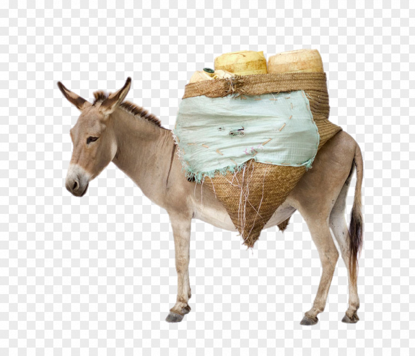 Donkey Laden With Goods Mule Stock Photography Horses Royalty-free PNG