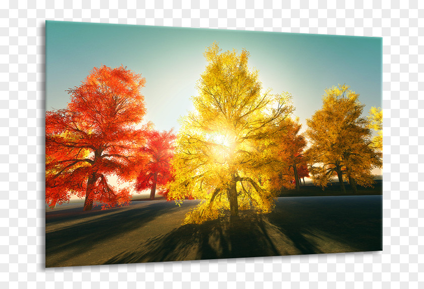 Painting Autumn Color Schilderij 3 Stock Photography PNG