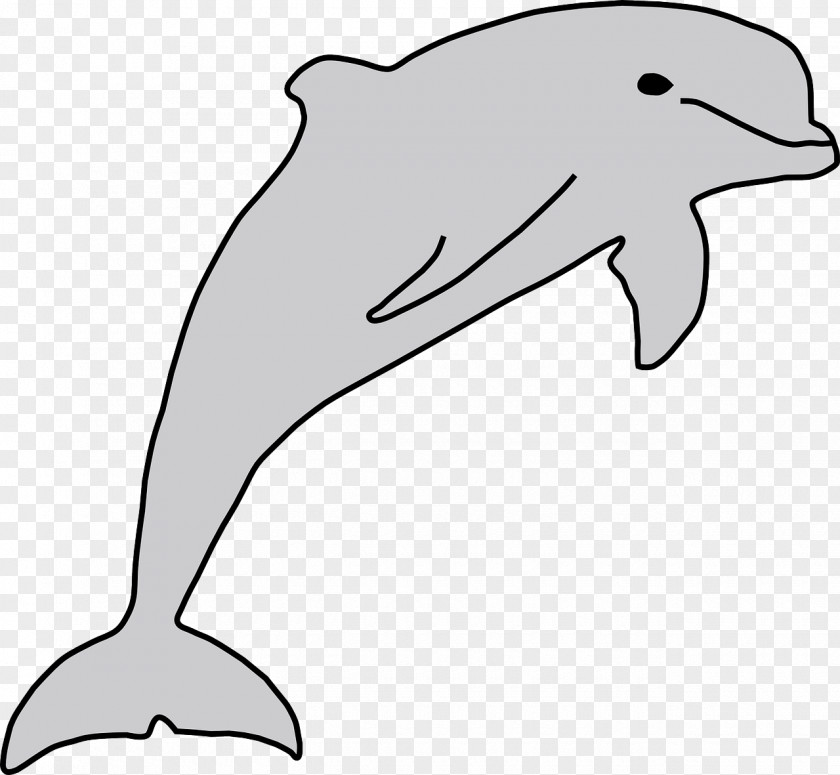 Sea Life Dolphin Download Clip Art PNG